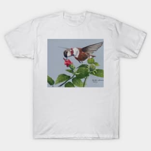 Rufous Hummingbird T-Shirt